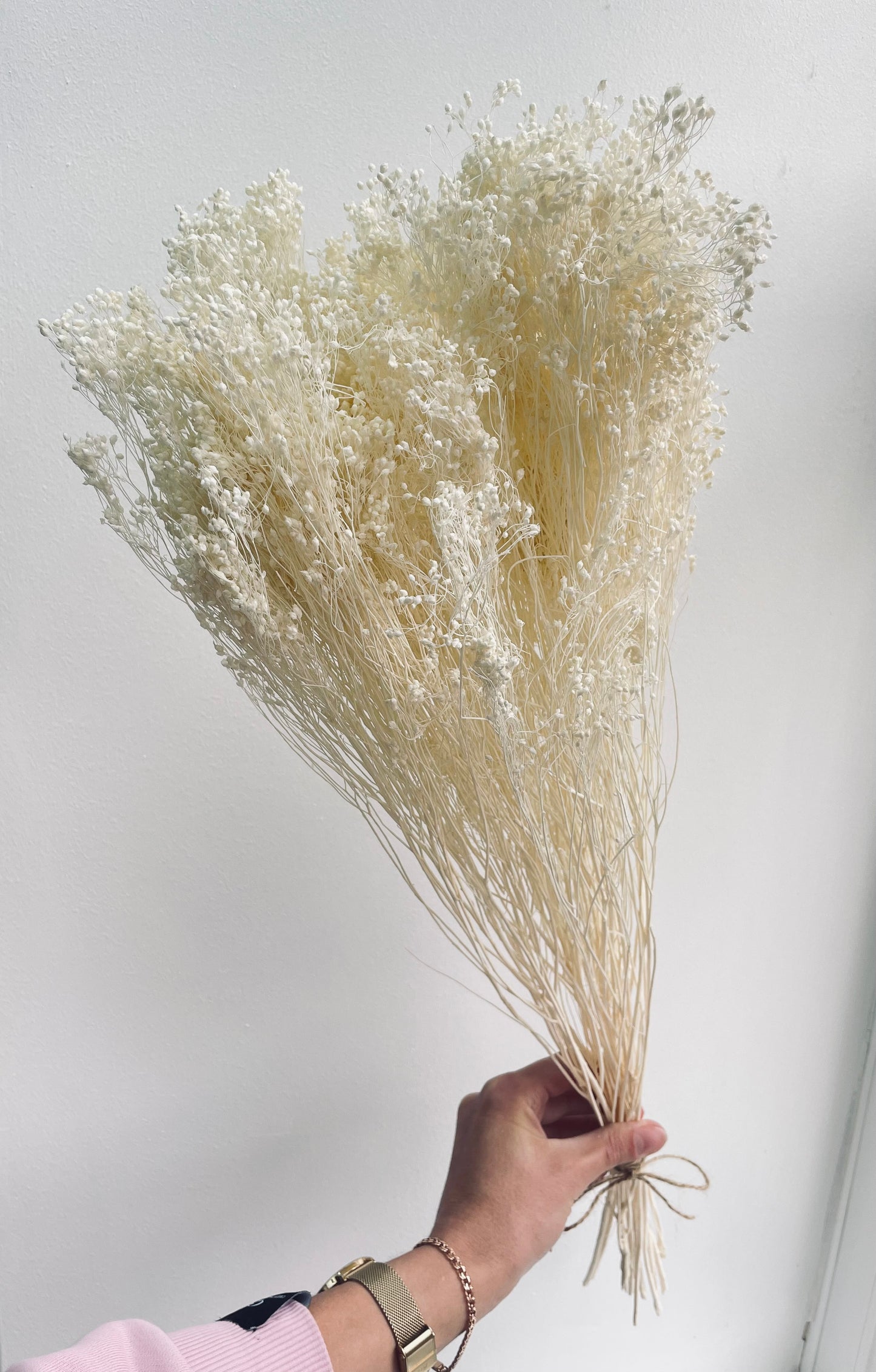 Preserved Broom Bloom, Bleached White / Bleached Pink 30-50cm / Valentines Bouquet