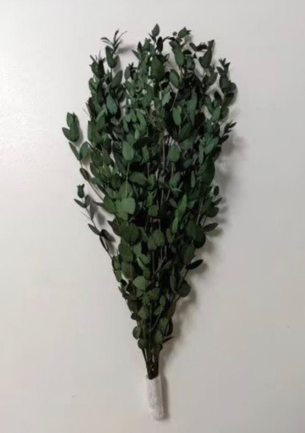 Preserved Eucalyptus Bouquet , WHOLESALE UK
