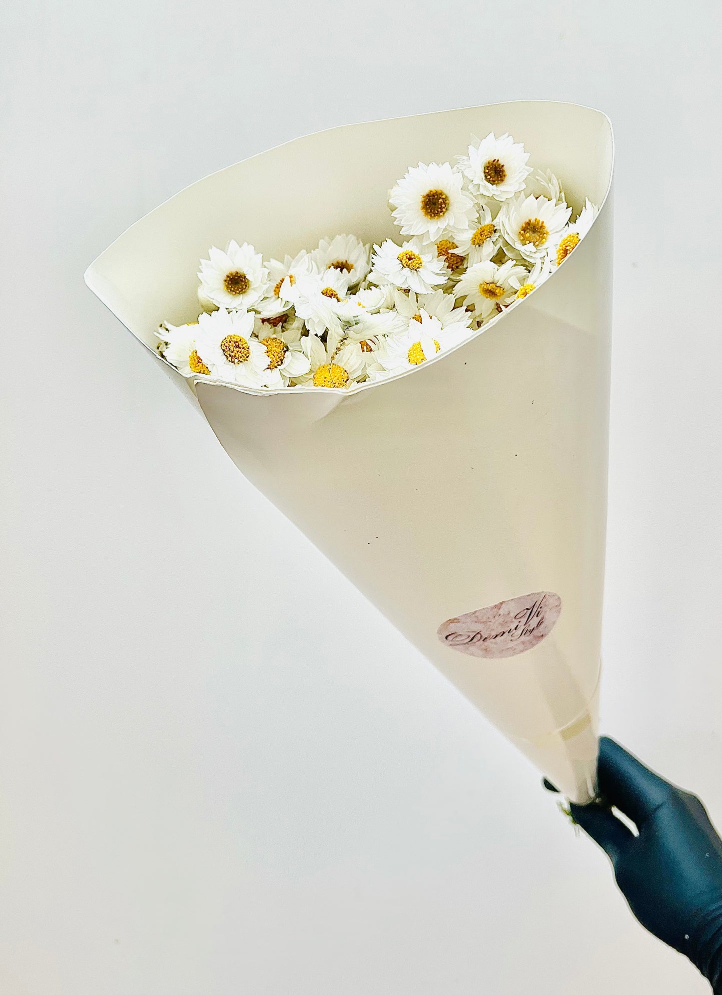 Dried White Daisies Bunch Natural Rodanthe Daisy Dried Straw Flower Natural Dried Flower Bouquet Rustic Home Decor Birthday Gift for her