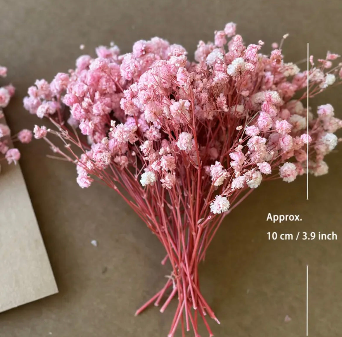 Dried Babys Breath Bouquet Babys Breath Stems White Preserved Flowers Preserved Gypsophila Dry Wedding Bouquet DIY flowers White favours