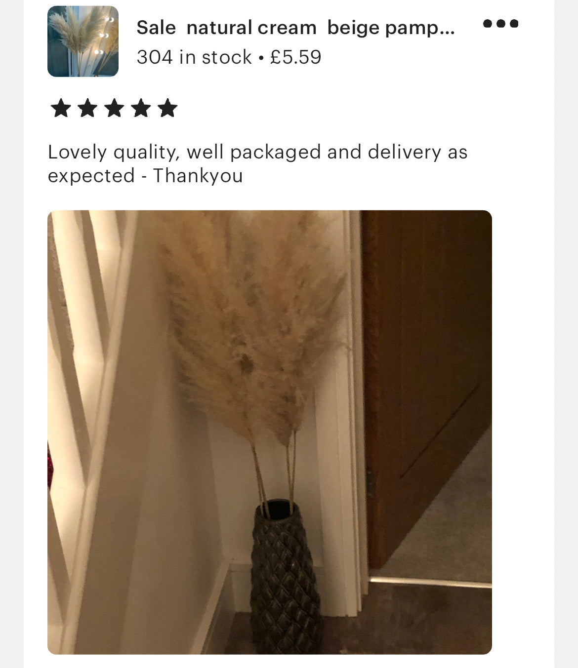 Sale pampas grass Bouquet of 5x Pampas 60cm / light cream pampas /beige pampas/ pampass grass arrangement / pampas bouquet