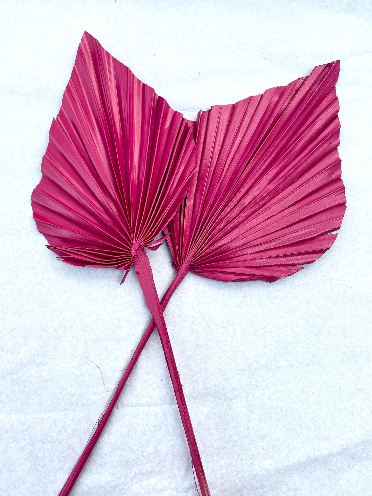 3x Dried Palm Spear Leaves ,colour pink fuscia orange/boho decor, dried vase flowers, palm leaf UK, palm decor, palm spear cake topper/