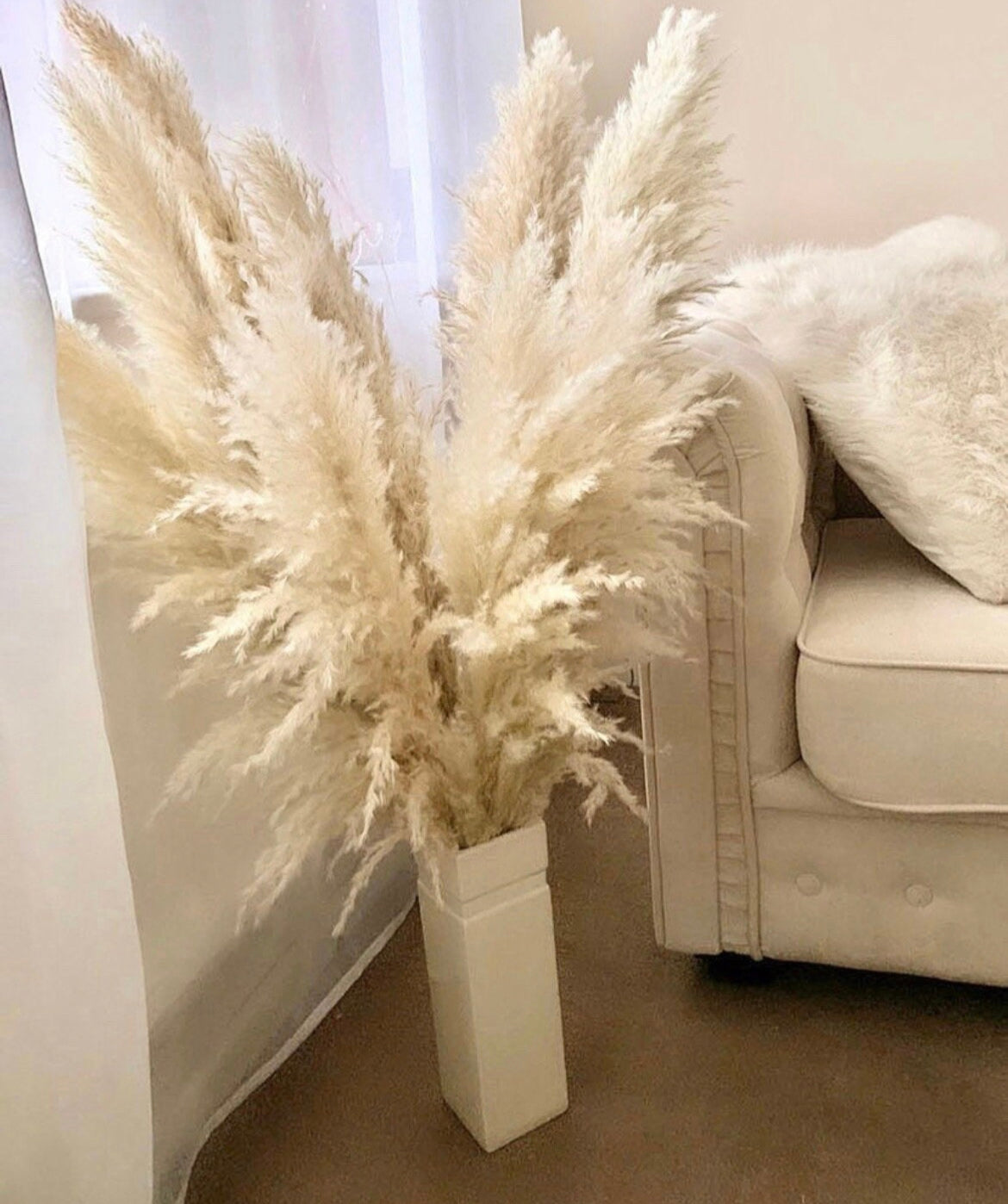 Sale extra large cream fluffy natural pampas grass 60-140cm pampas stem, gift for her, dried flowers, pampass grass / pampas bouquet