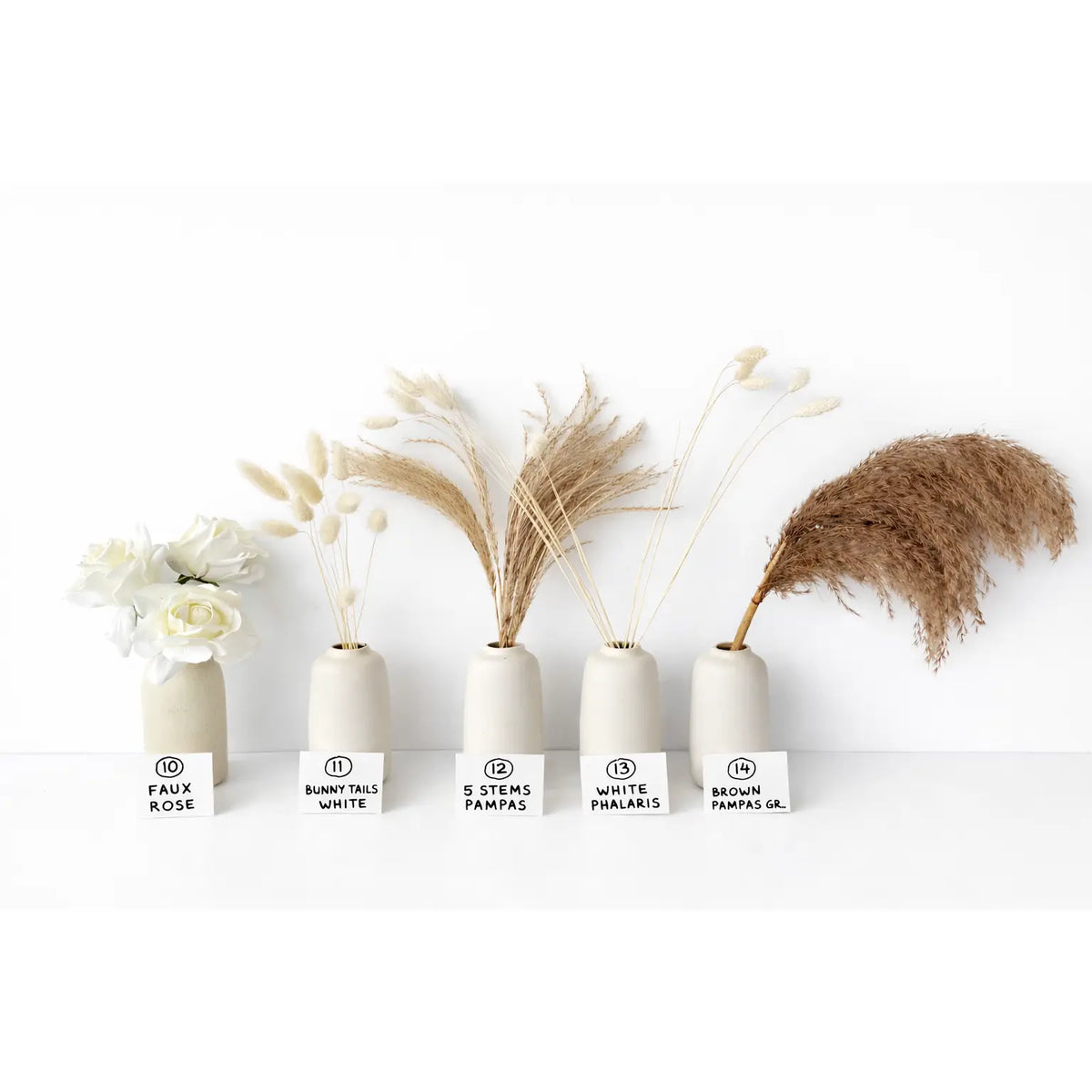 Boho Dried Flower Mix: Pampas, Ruscus, Bunny Tails, Palm Spear