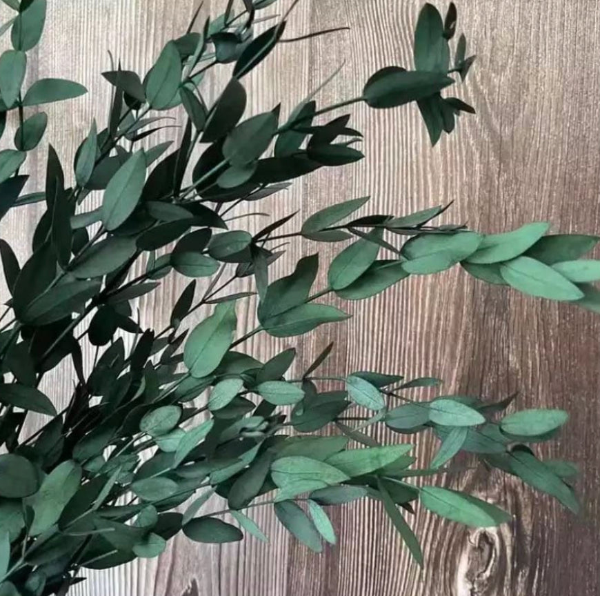 Preserved Eucalyptus Bouquet , WHOLESALE UK