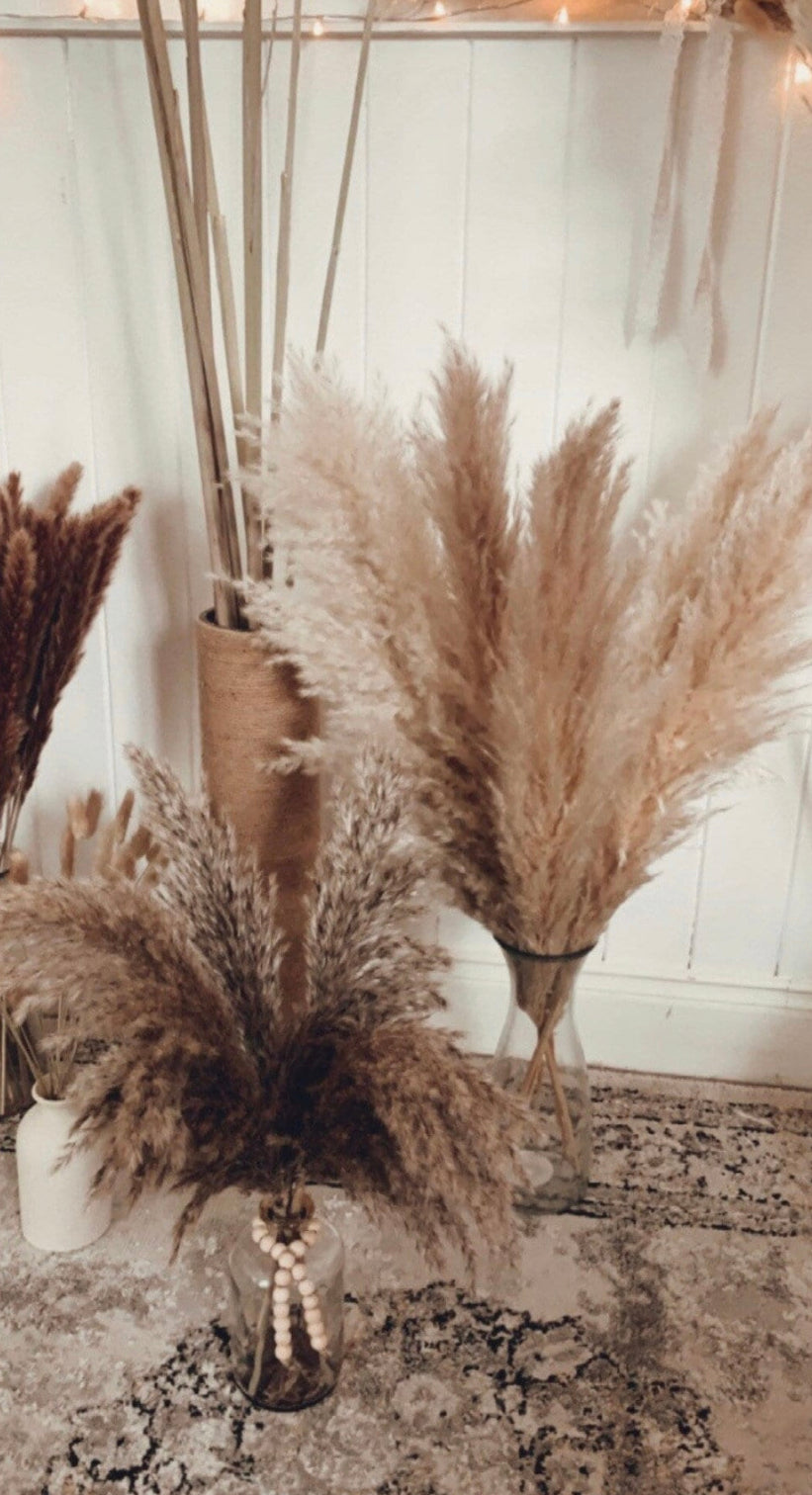 Sale extra large cream fluffy natural pampas grass 60-140cm pampas stem, gift for her, dried flowers, pampass grass / pampas bouquet