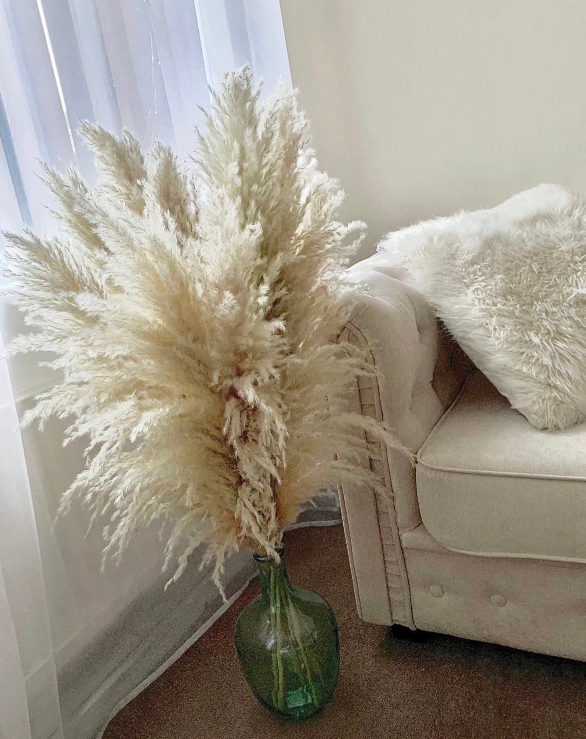 Sale extra large cream fluffy natural pampas grass 60-140cm pampas stem, gift for her, dried flowers, pampass grass / pampas bouquet