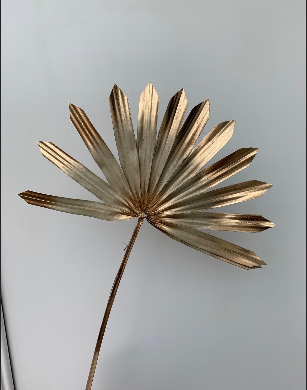 Cream and gold sun palm leaf / palm leaves/ palm spears / cake topper / palm cake topper