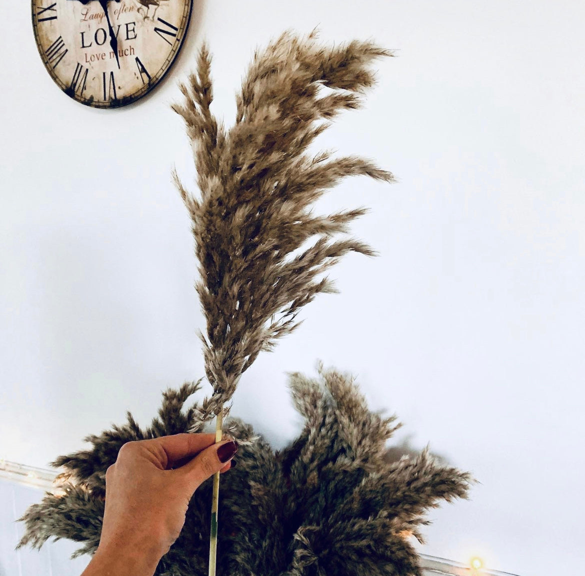 Beautiful Fluffy Grey Pampas Grass / Pampass grass bouquet/ Table Decoration / Wedding Boho Home Decor UK