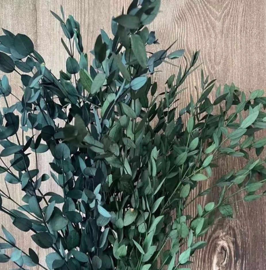 Preserved Eucalyptus Bouquet , WHOLESALE UK
