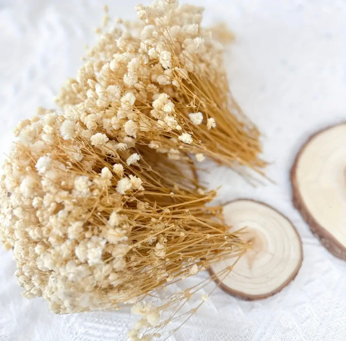 Dried Babys Breath Bouquet Babys Breath Stems White Preserved Flowers Preserved Gypsophila Dry Wedding Bouquet DIY flowers White favours