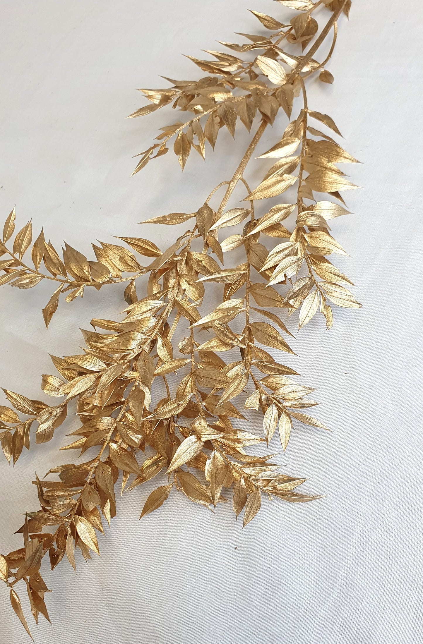 1 stem Preserved gold ruscus dried flowers ruscus for arrangement/ table decoration