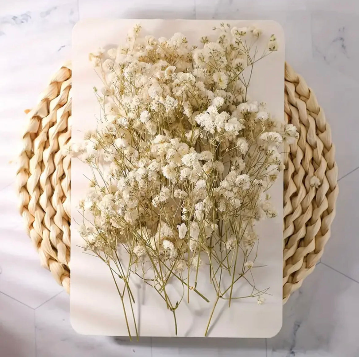 Dried Babys Breath Bouquet Babys Breath Stems White Preserved Flowers Preserved Gypsophila Dry Wedding Bouquet DIY flowers White favours