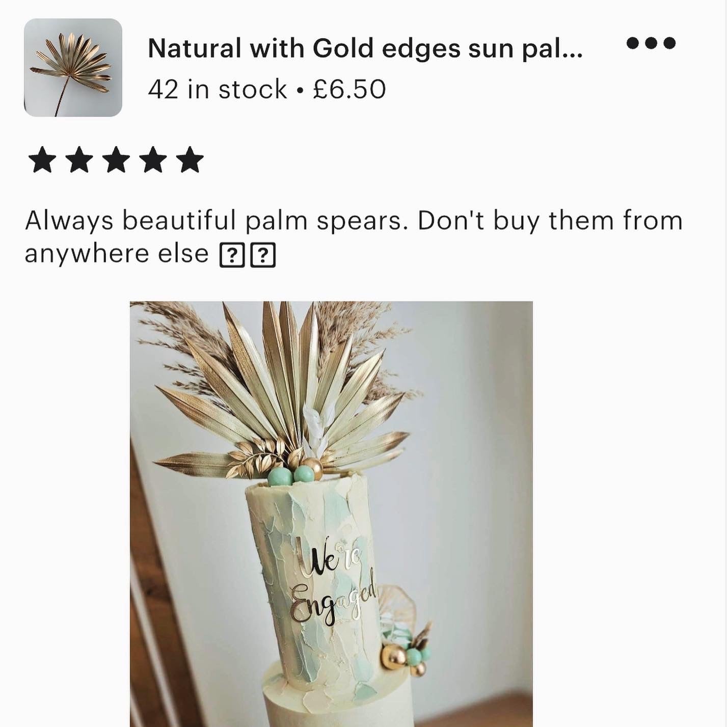 Natural with Gold edges sun palm leaf / palm leaves/ palm spears / cake topper / palm cake topper