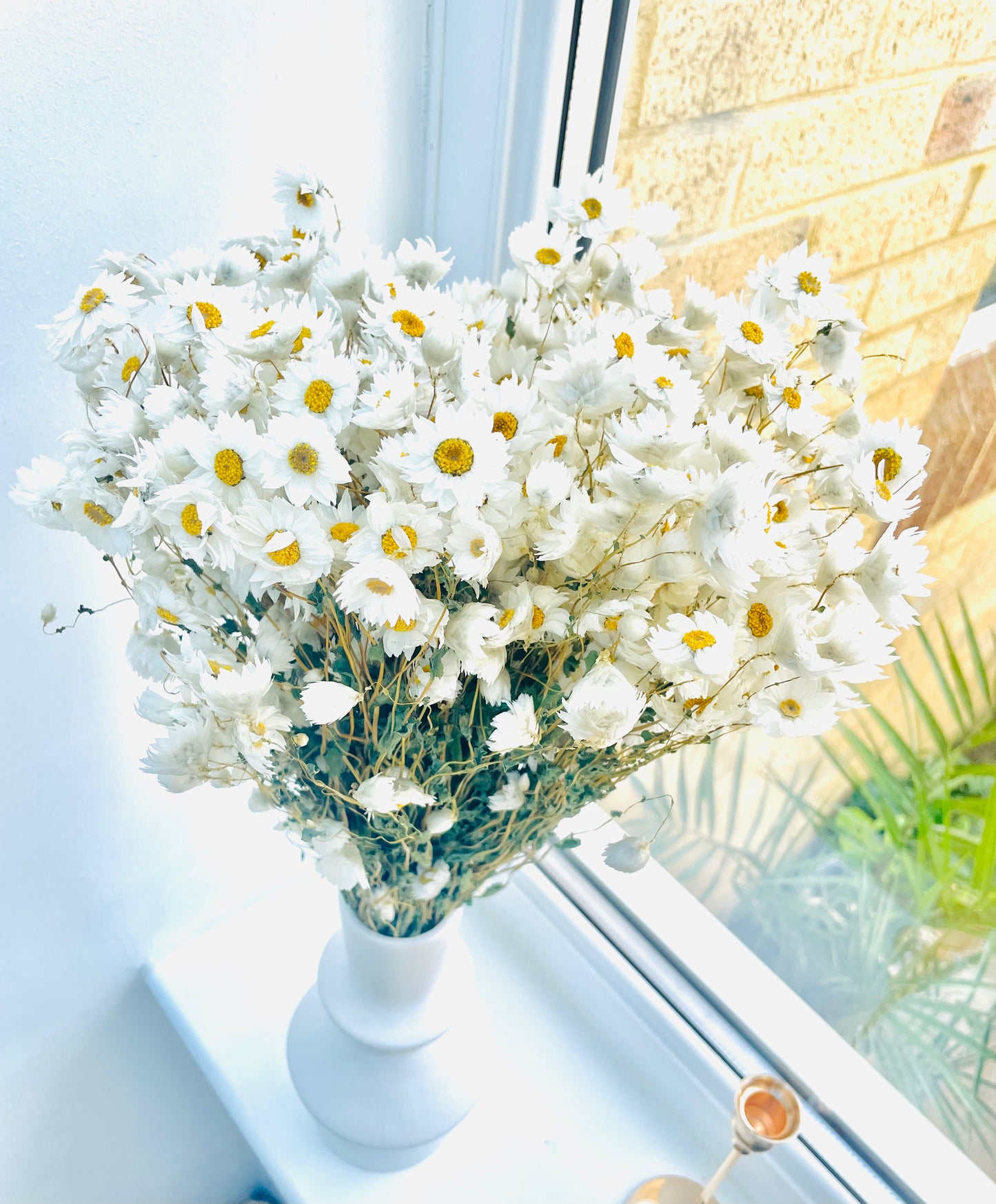 Dried White Daisies Bunch Natural Rodanthe Daisy Dried Straw Flower Natural Dried Flower Bouquet Rustic Home Decor Birthday Gift for her