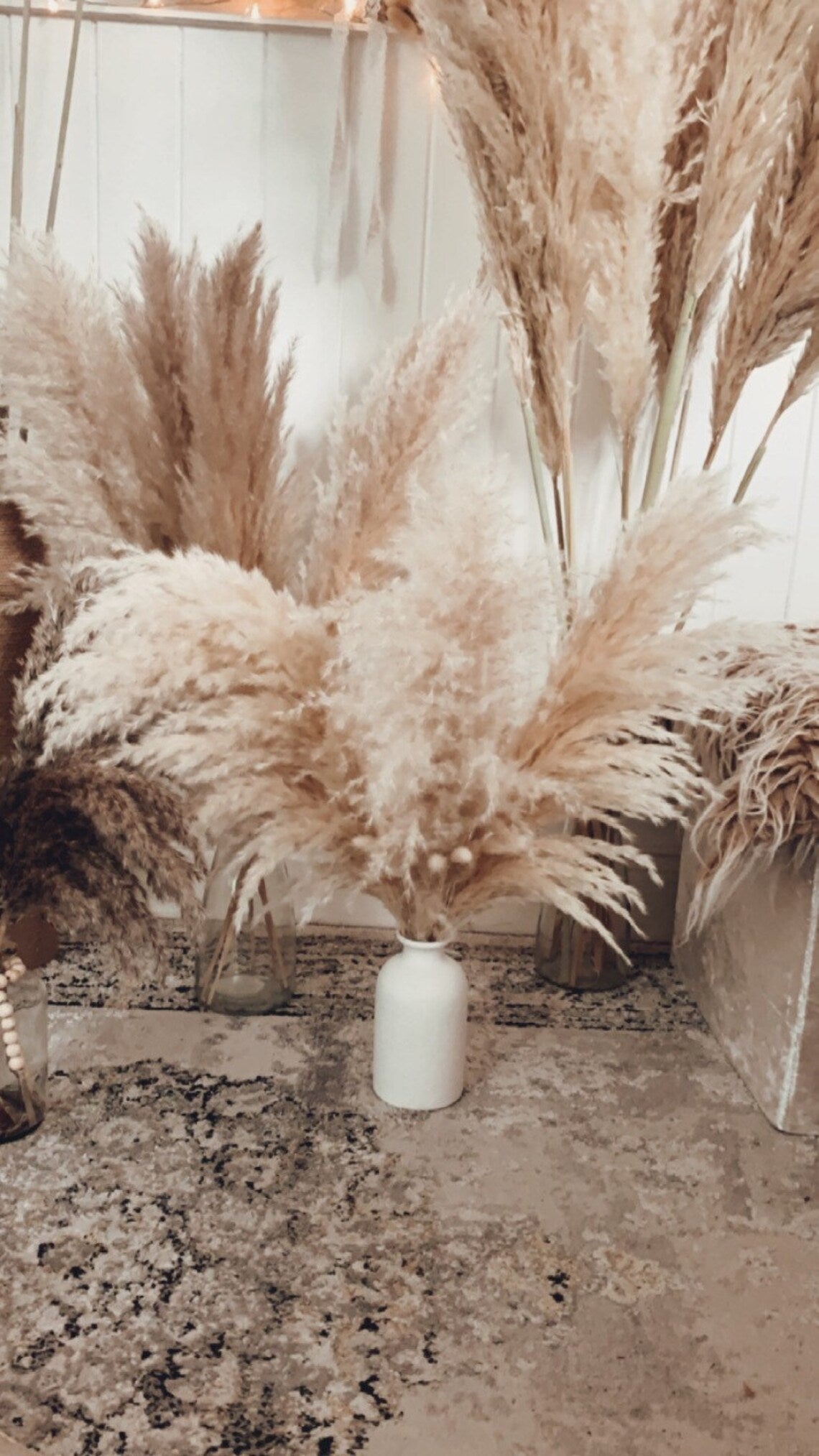 Pre-Order Sale 30x Large natural pampas grass 60-140cm/ WHOLESALE PRICES