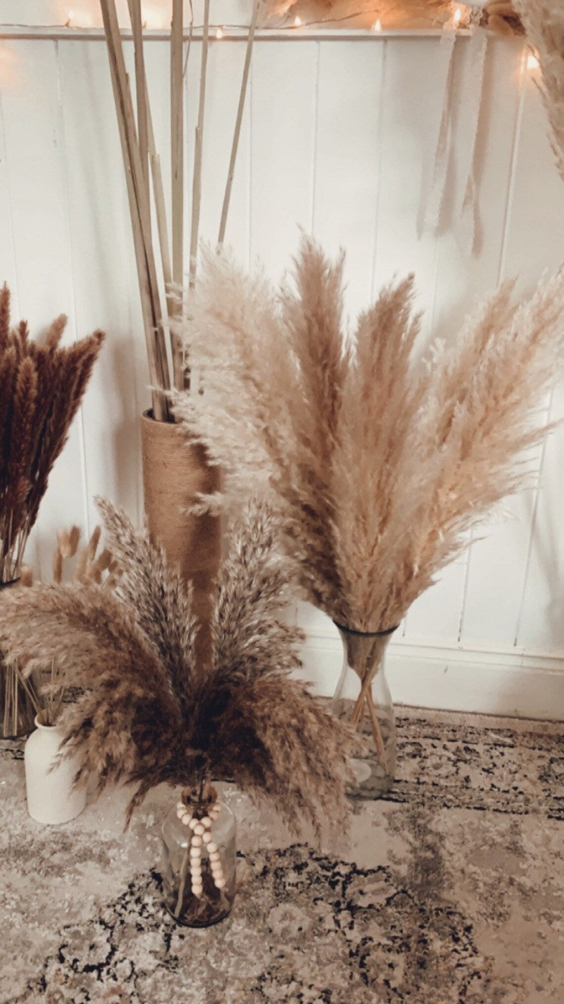 Pre-Order Sale 30x Large natural pampas grass 60-140cm/ WHOLESALE PRICES