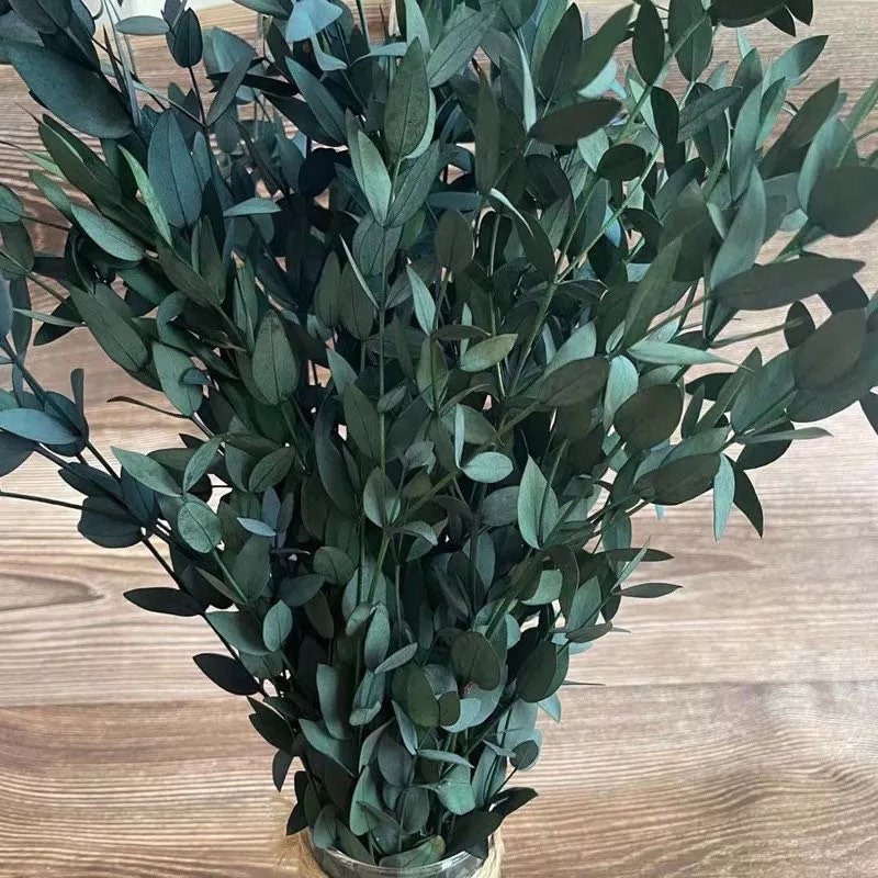 Preserved Eucalyptus Bouquet , WHOLESALE UK