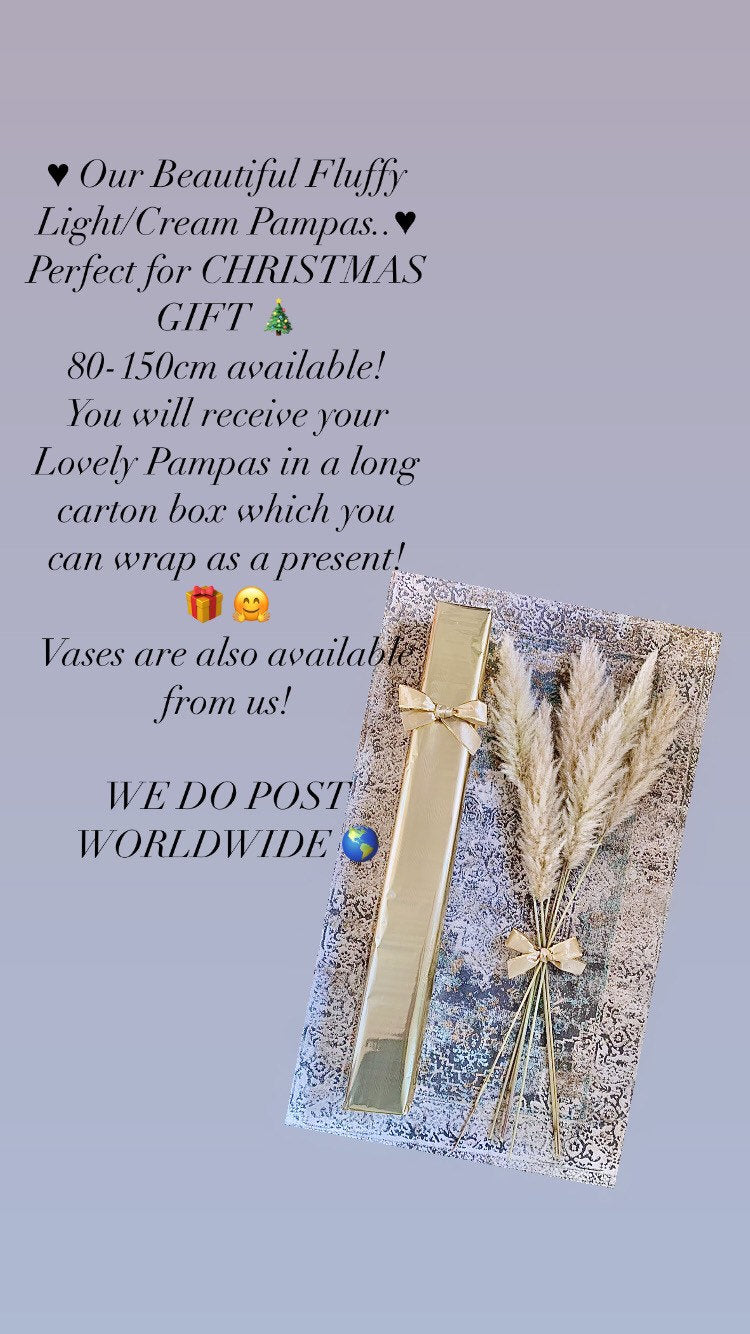 Sale pampas grass Bouquet of 5x Pampas 60cm / light cream pampas /beige pampas/ pampass grass arrangement / pampas bouquet