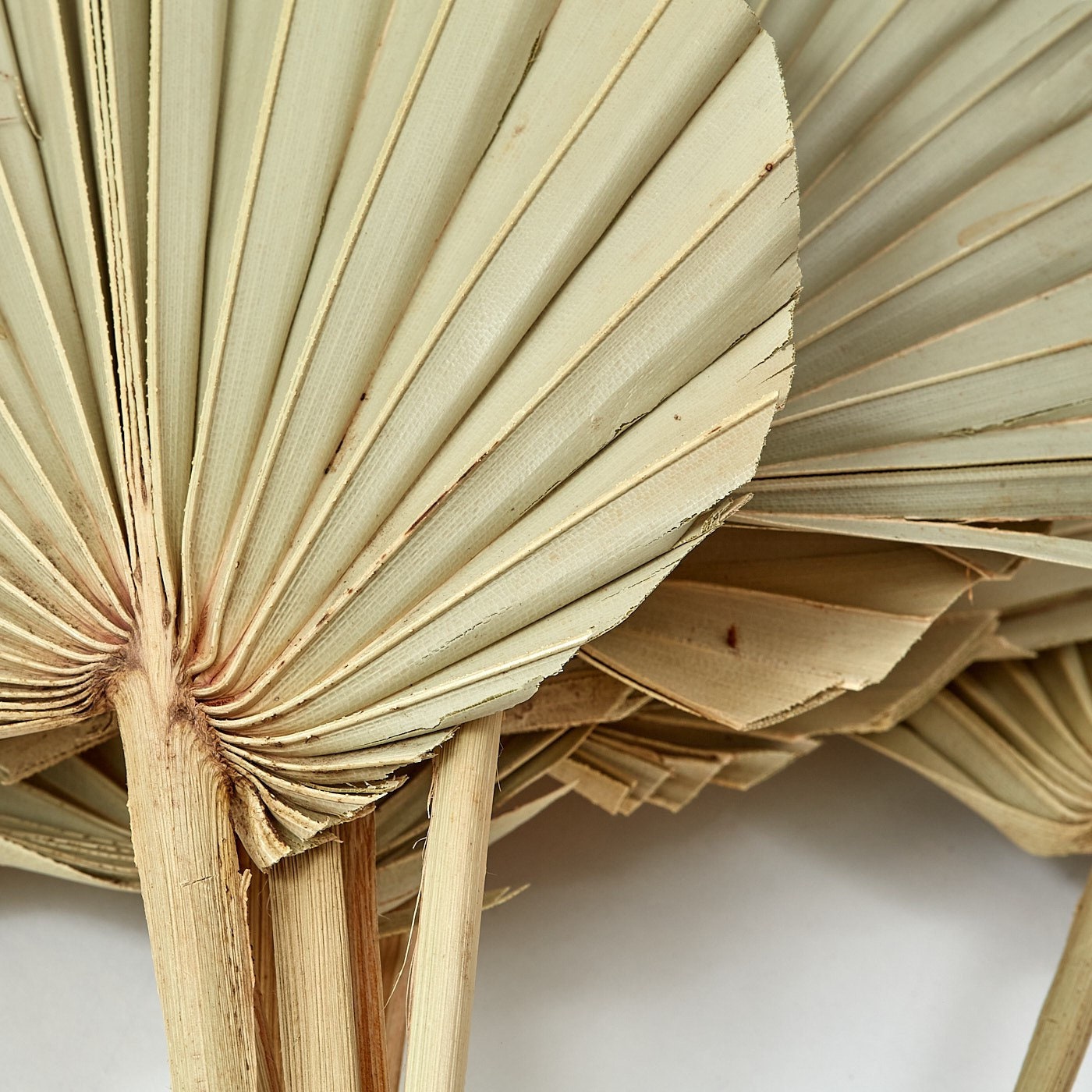Natural Dried Palm Spear Leaves palm leaves /boho decor, dried vase flowers, natural palm leaves , palm decor, palm cake topper/ rustic