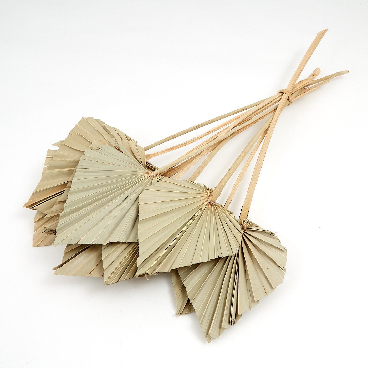 Natural Dried Palm Spear Leaves palm leaves /boho decor, dried vase flowers, natural palm leaves , palm decor, palm cake topper/ rustic
