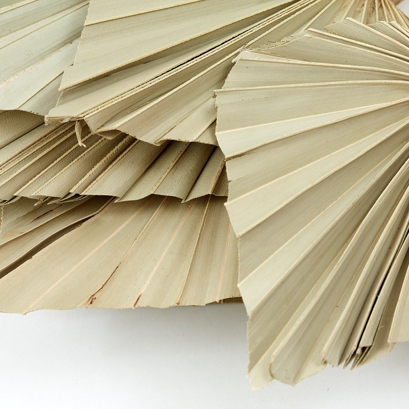 Natural Dried Palm Spear Leaves palm leaves /boho decor, dried vase flowers, natural palm leaves , palm decor, palm cake topper/ rustic