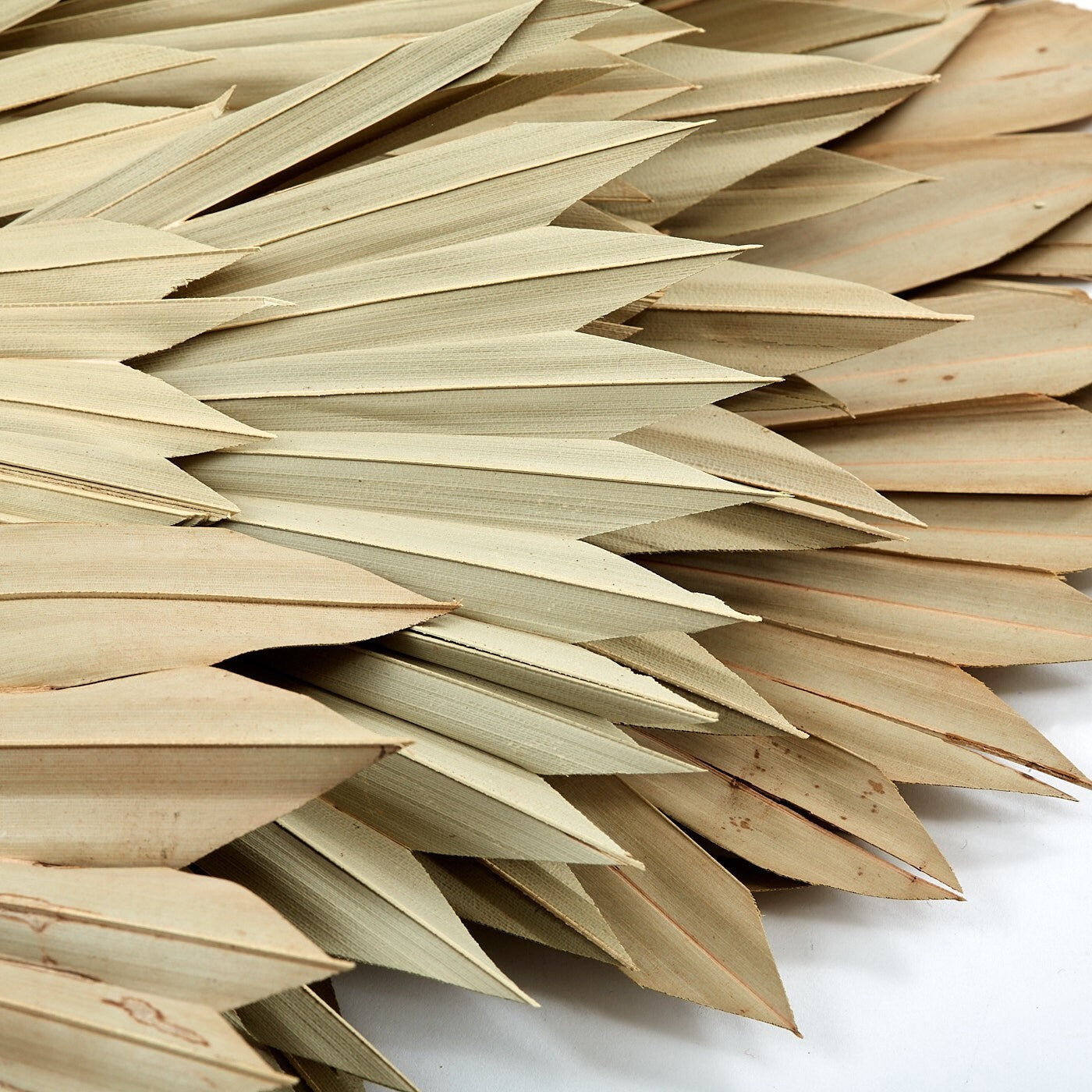 Palm Sun Natural 5 stems, Dried Palm Sun Leaves / cake topper