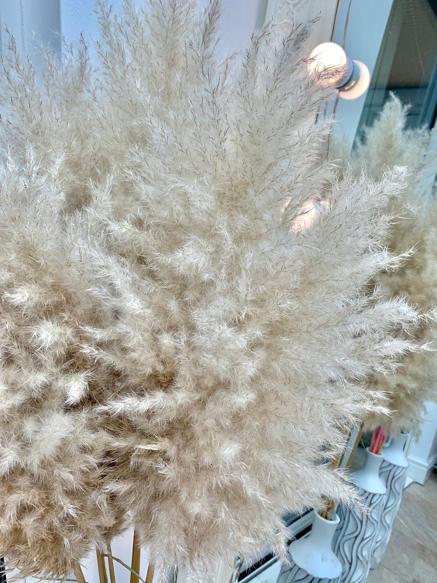 Fluffy dried pampas grass 60cm 80cm 100cm 120cm 140cm pampas stem, light cream/beige, pampass grass arrangement , tall pampas /