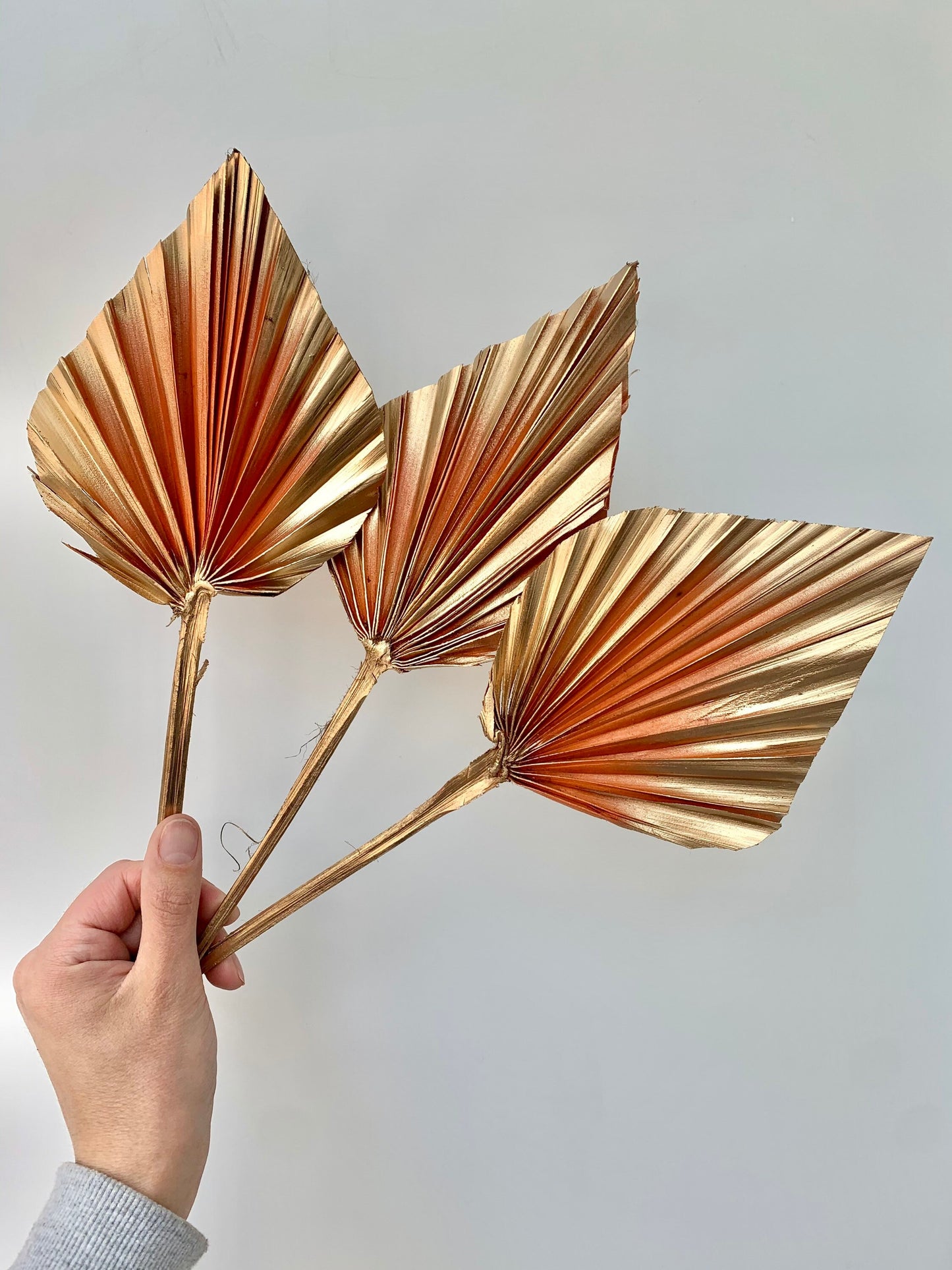 3 x Natural Dried Palm Spear Leaves ,orange-gold colour/ cream - gold / boho decor, dried vase flowers, palm leaf UK,palm cake topper