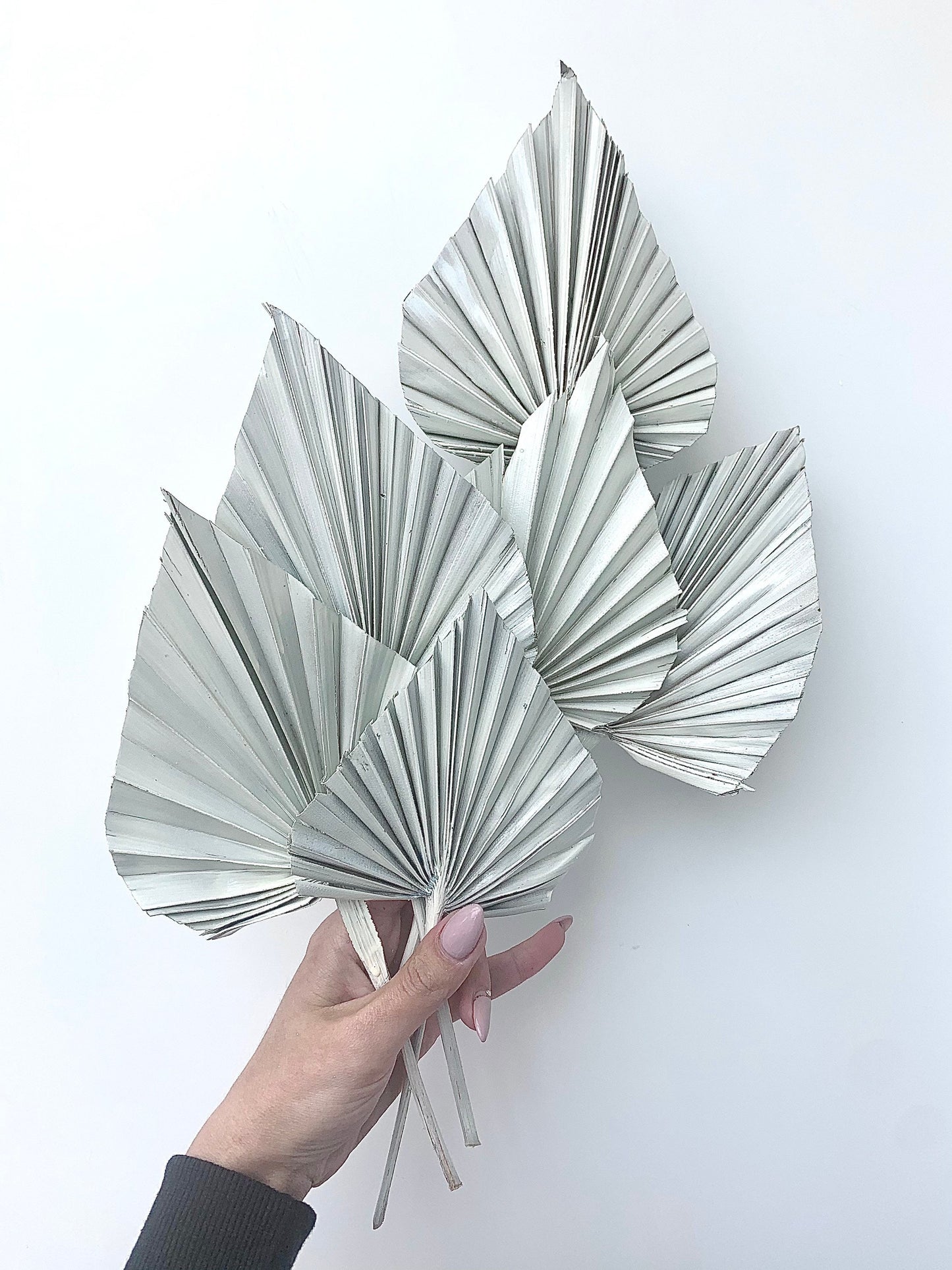 3x Gold / White Dried Palm Spear Leaves / boho decor, dried vase flowers, palm leaf UK, palm decor, palm cake topper, palm spears