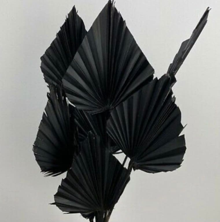 3x Black Dried Palm Spear Leaves ,black colour/ boho decor, dried vase flowers, palm leaf UK, , palm decor, palm cake topper