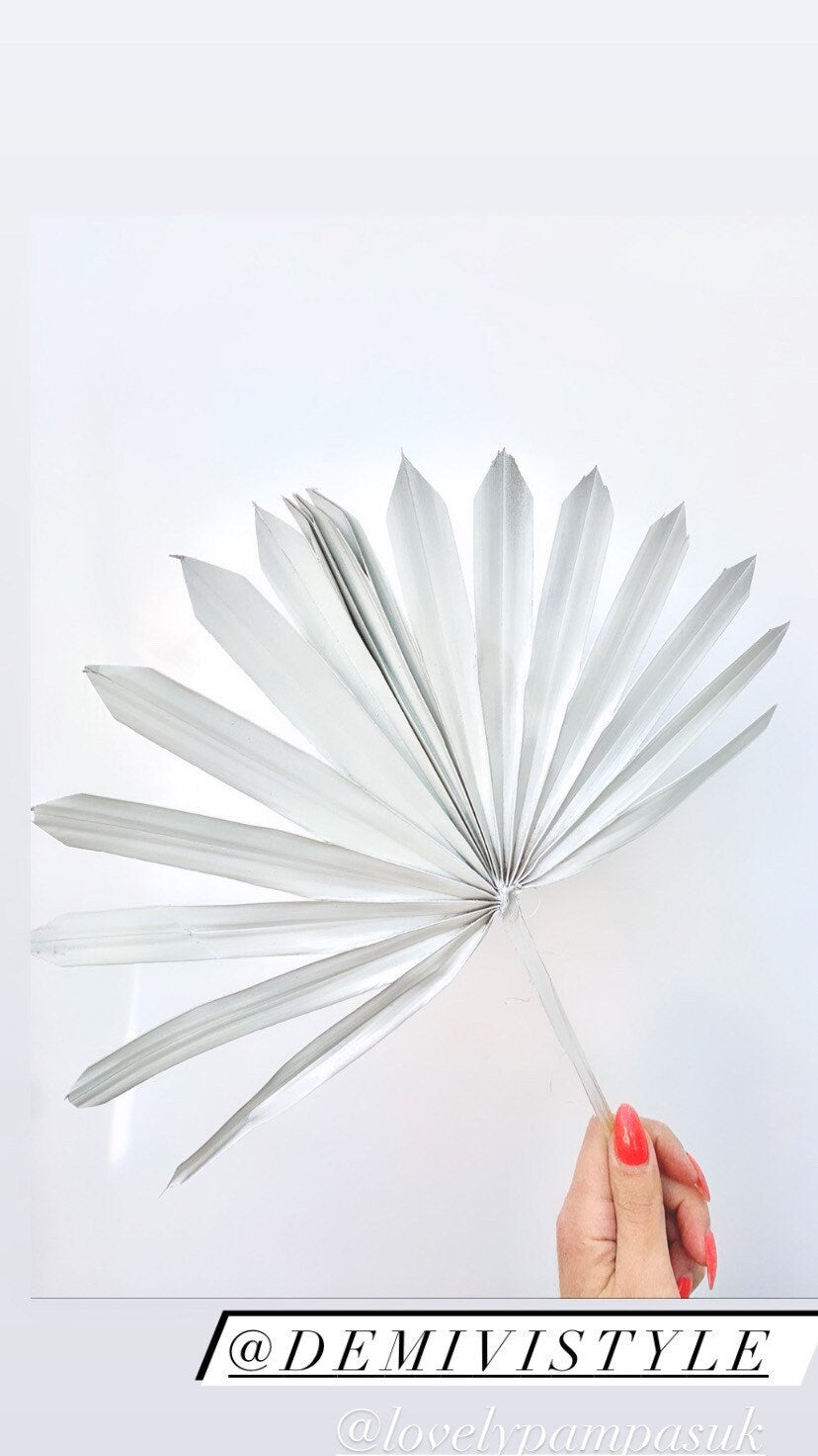 White sun palm leaf / palm leaves/ palm spears / cake topper / palm cake topper