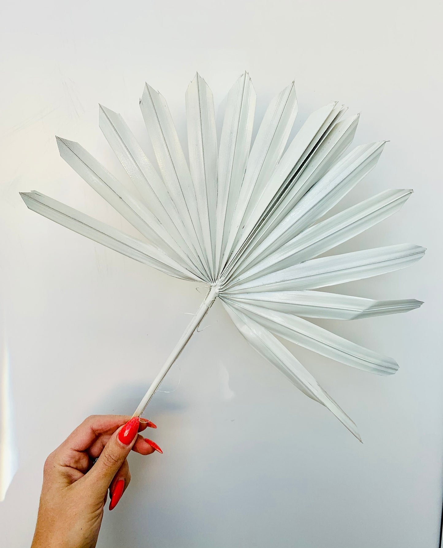 White sun palm leaf / palm leaves/ palm spears / cake topper / palm cake topper