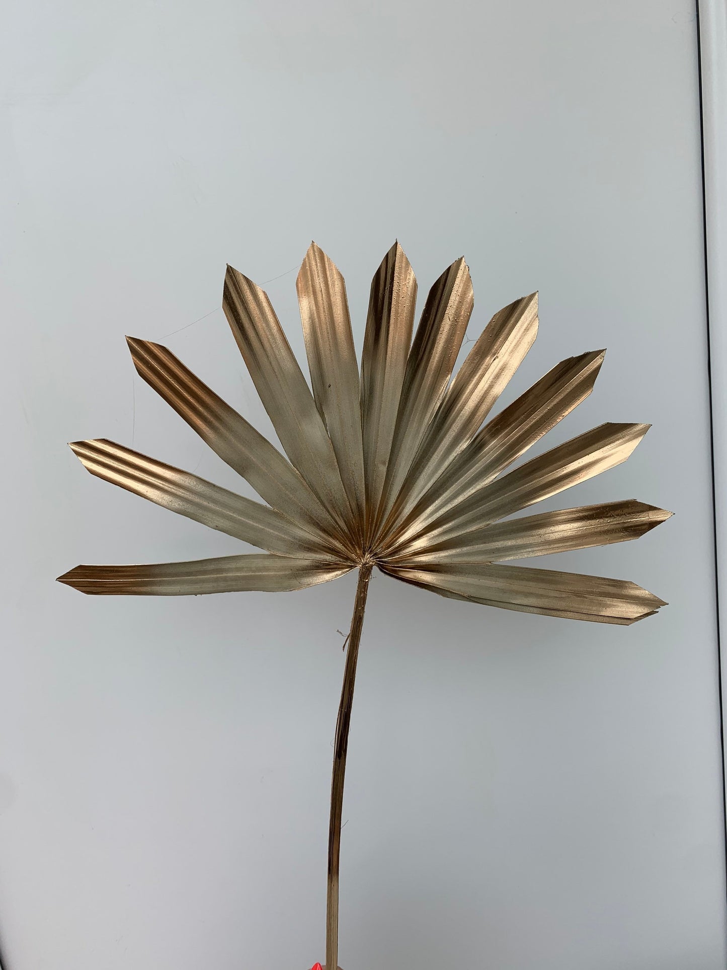 Natural with Gold edges sun palm leaf / palm leaves/ palm spears / cake topper / palm cake topper
