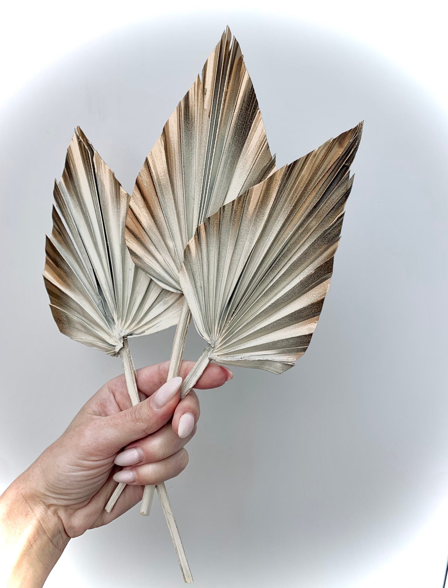 3 x Natural Dried Palm Spear Leaves ,orange-gold colour/ cream - gold / boho decor, dried vase flowers, palm leaf UK,palm cake topper