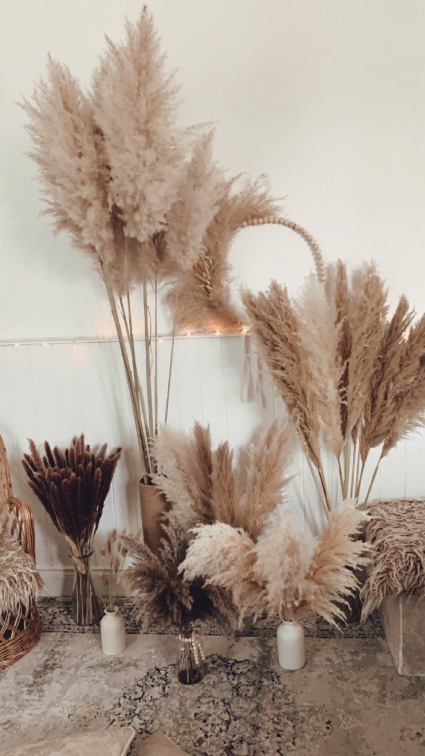 Sale extra large cream fluffy natural pampas grass 60-120cm/ pampas bouquet , gift for her, gift UK, dried flowers, pampass grass