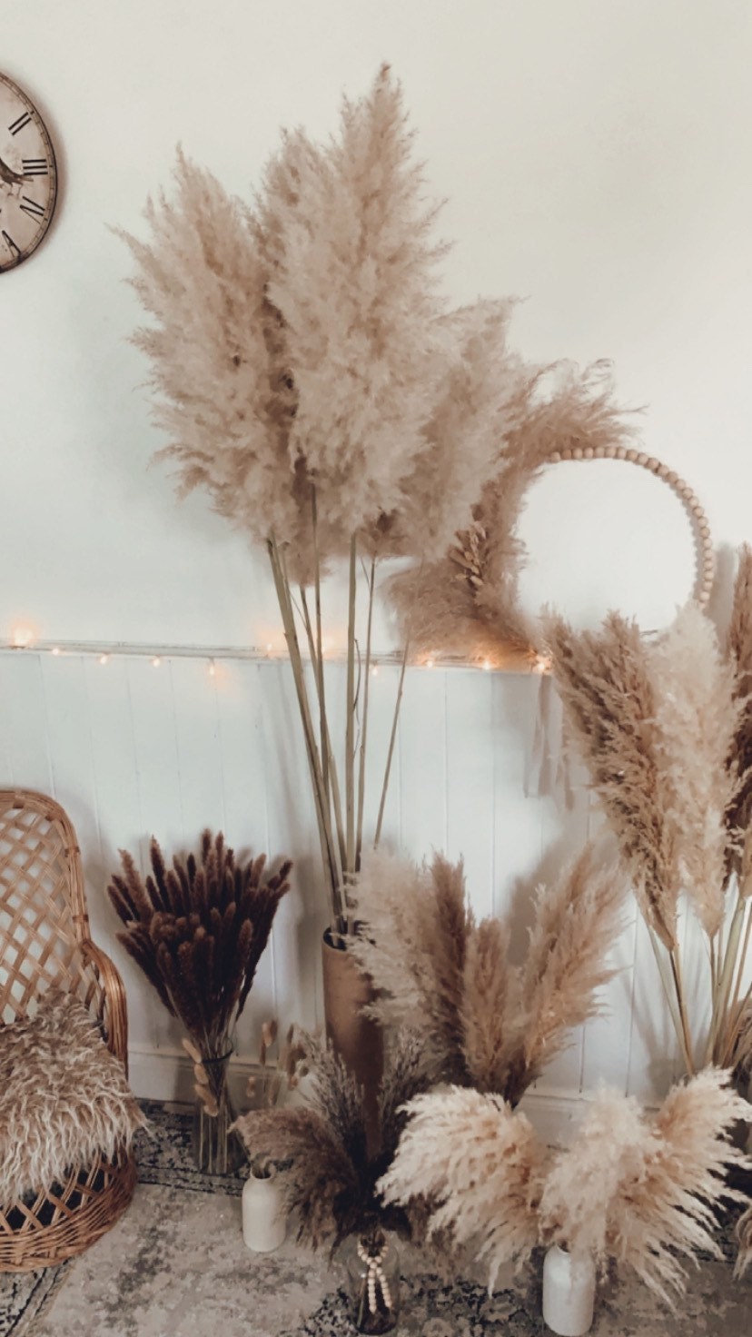 Sale extra large cream fluffy natural pampas grass 60-120cm/ pampas bouquet , gift for her, gift UK, dried flowers, pampass grass
