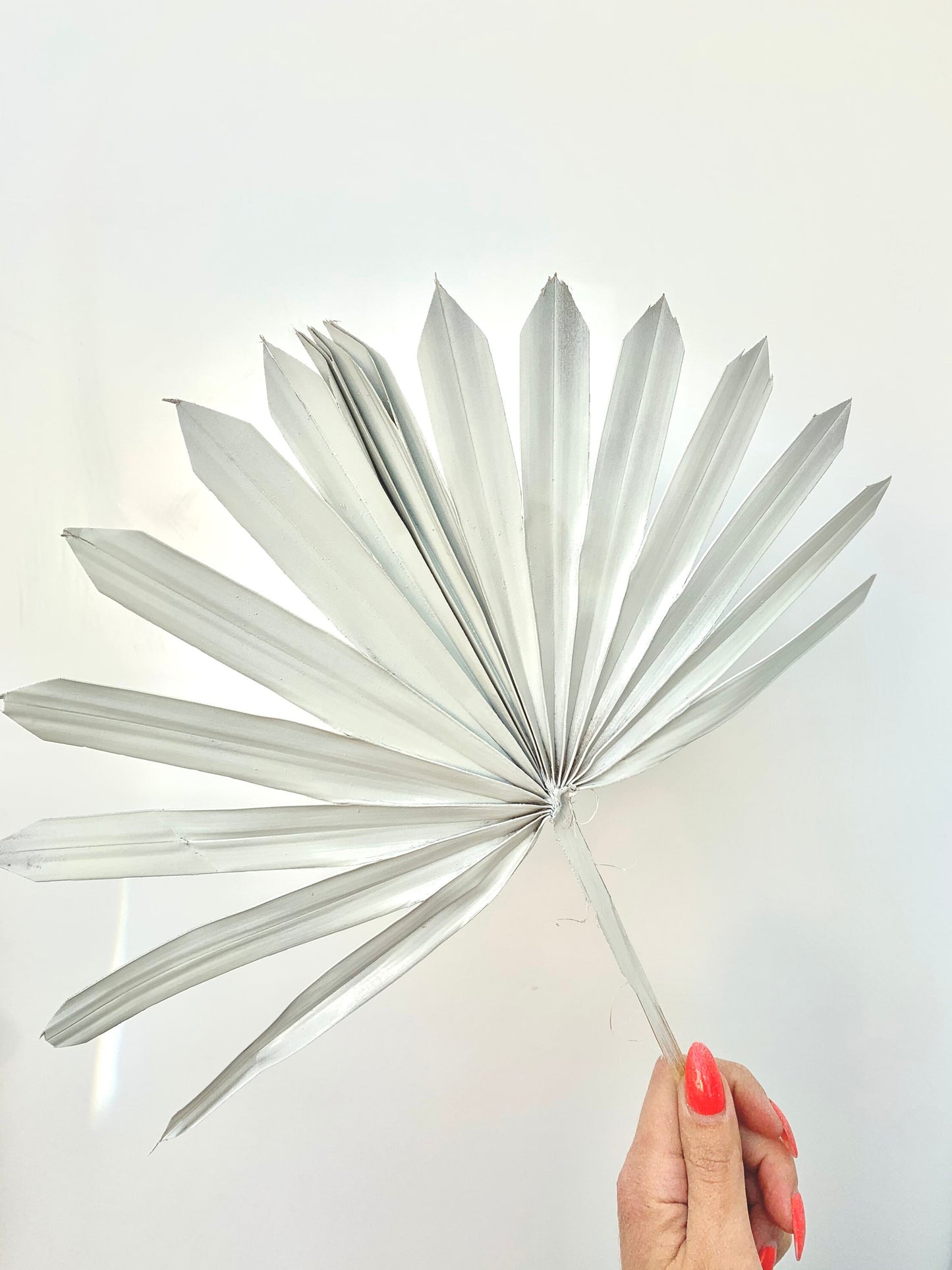 White sun palm leaf / palm leaves/ palm spears / cake topper / palm cake topper