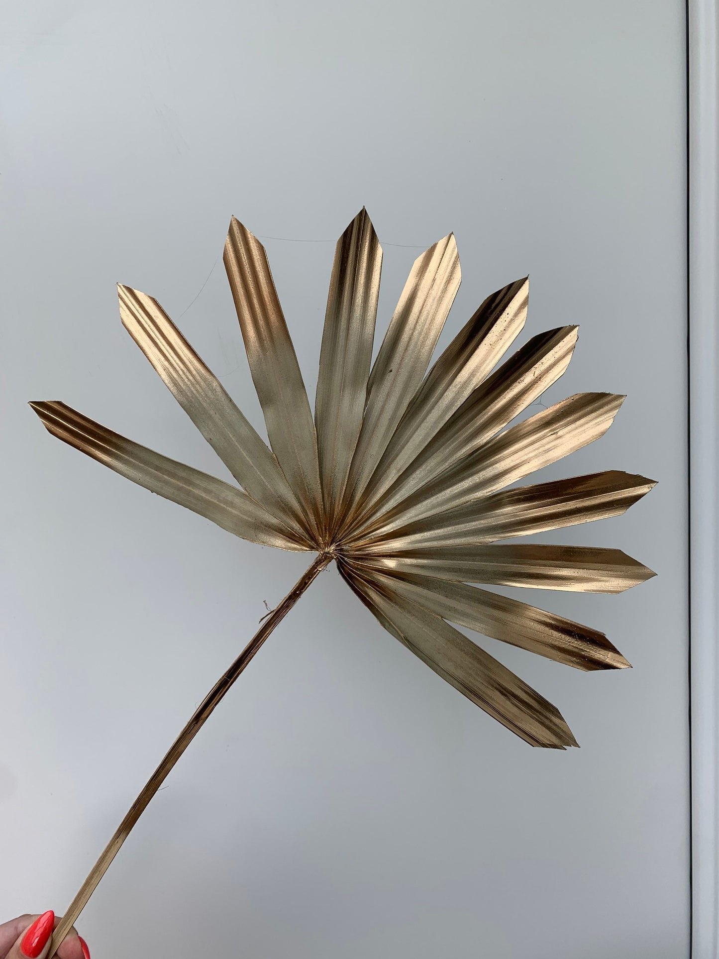 Natural with Gold edges sun palm leaf / palm leaves/ palm spears / cake topper / palm cake topper
