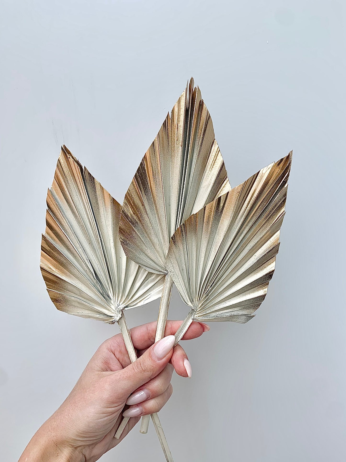3 x Natural Dried Palm Spear Leaves ,orange-gold colour/ cream gold cake topper/ dried flowers, palm leaf UK,palm cake topper