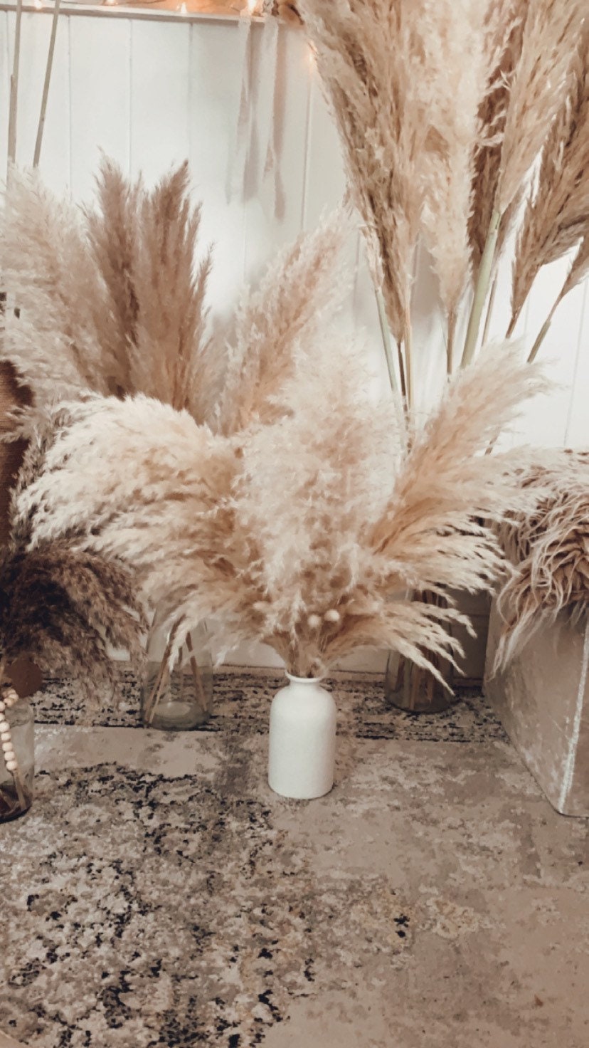 Sale extra large cream fluffy natural pampas grass 60-120cm/ pampas bouquet , gift for her, gift UK, dried flowers, pampass grass