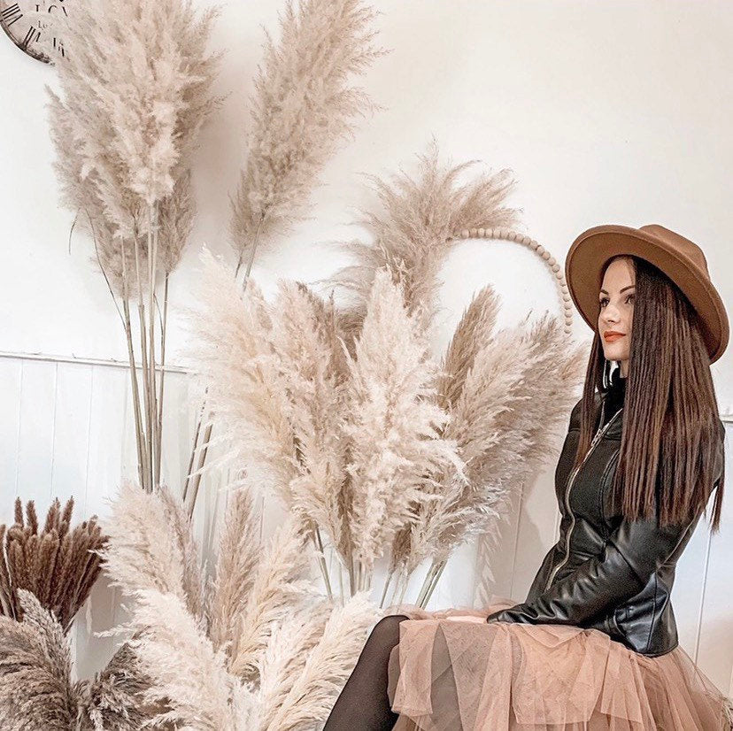 Grand Sale cream fluffy natural pampas grass 60-120cm pampas stem, gift for her, gift UK, dried flowers, housewarming, pampass grass