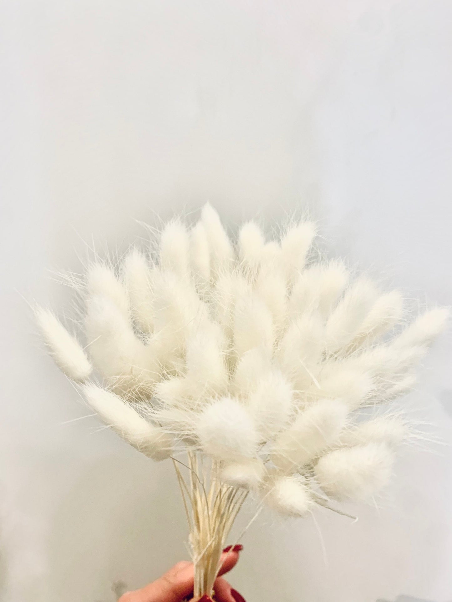 WHITE COLLECTION /white ruscus branch/ white bunnytail/ silver palm spear bouquet / wedding decoration/ Dried flowers cake topper