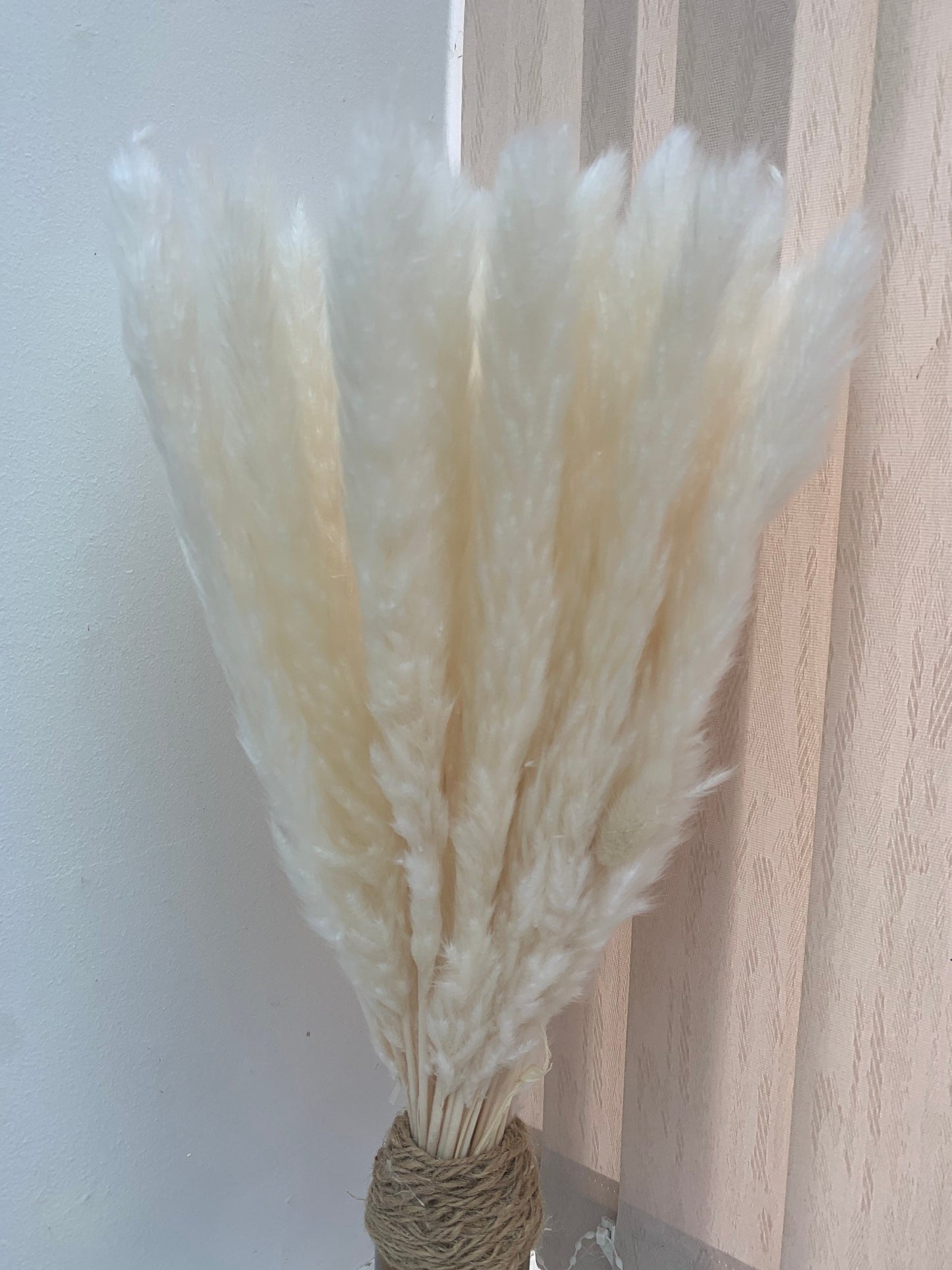 Dried pampas reed, 10 stems 60cm tall, Lovely Pampas Uk, Brown Colour, white pampas /home decor / Pampas UK