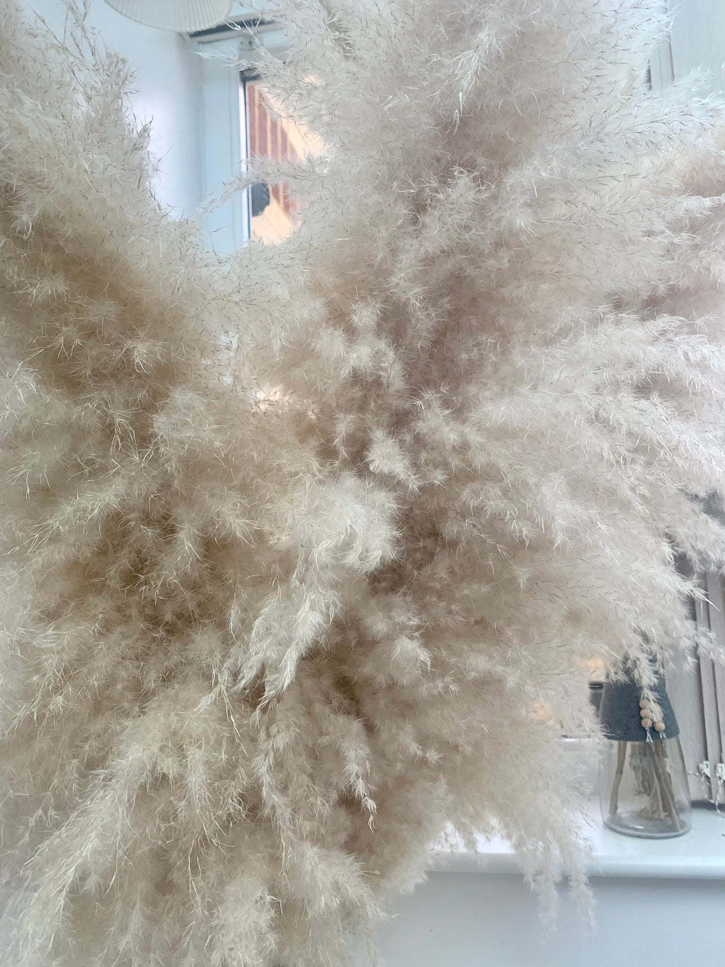 Sale extra large cream fluffy natural pampas grass 60-120, 140cm /gift for her, gift UK, dried flowers, housewarming, pampass grass