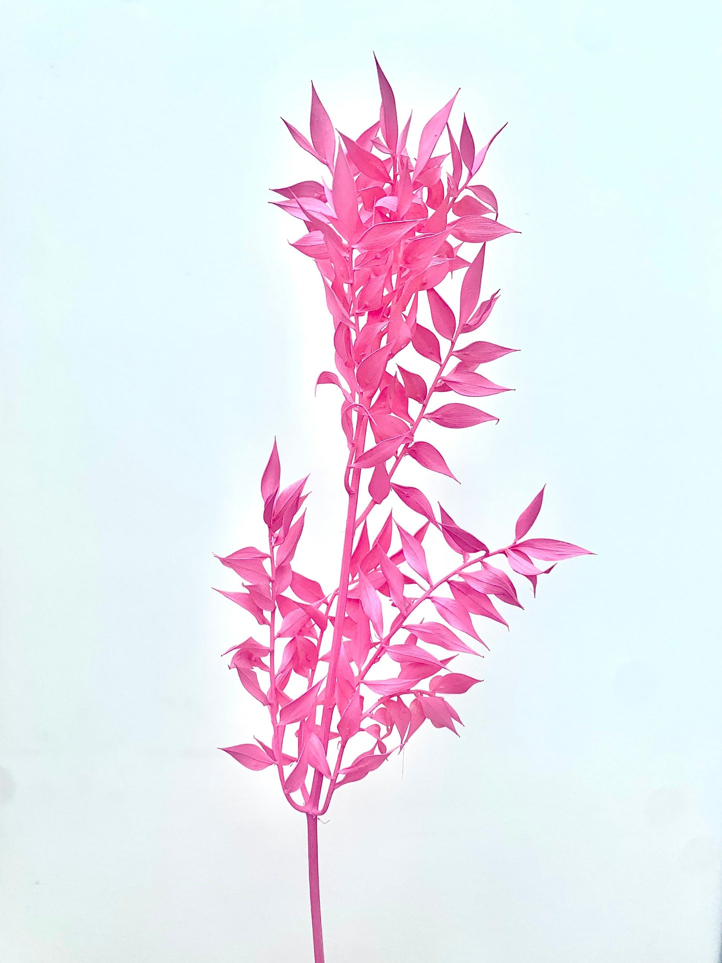 Pink Ruscus/ Pink Palm Spear / Palm Dried Flowers Bouquet Cake Topper / Baby Shower