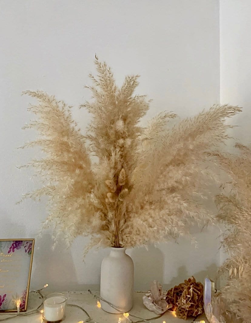 Sale Pampas bouquet 60-70cm / pampas grass bouquet/ VALENTINES BOUQUET / dry flower bouquet / pampass grass arrangement / gifts for her