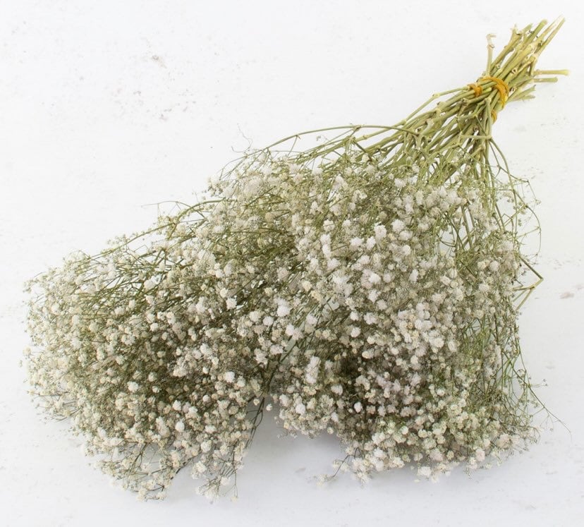 Preserved dried white gypsophila/ dried flowers / baby breath / white vase / boho decor / home decor GIFT FOR HER bouquet