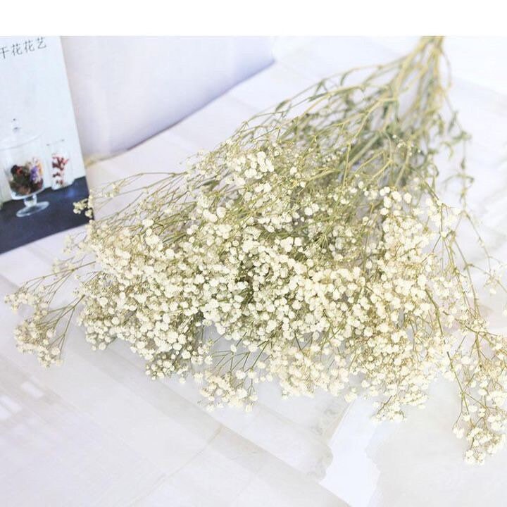 Preserved dried white gypsophila/ dried flowers / baby breath / white vase / boho decor / home decor GIFT FOR HER bouquet