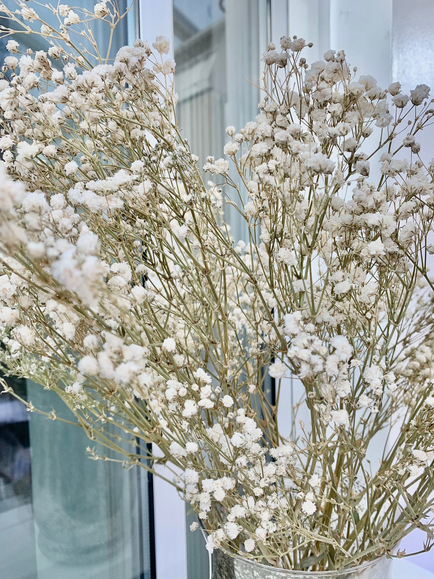 Preserved dried white gypsophila/ dried flowers / baby breath / white vase / boho decor / home decor GIFT FOR HER bouquet